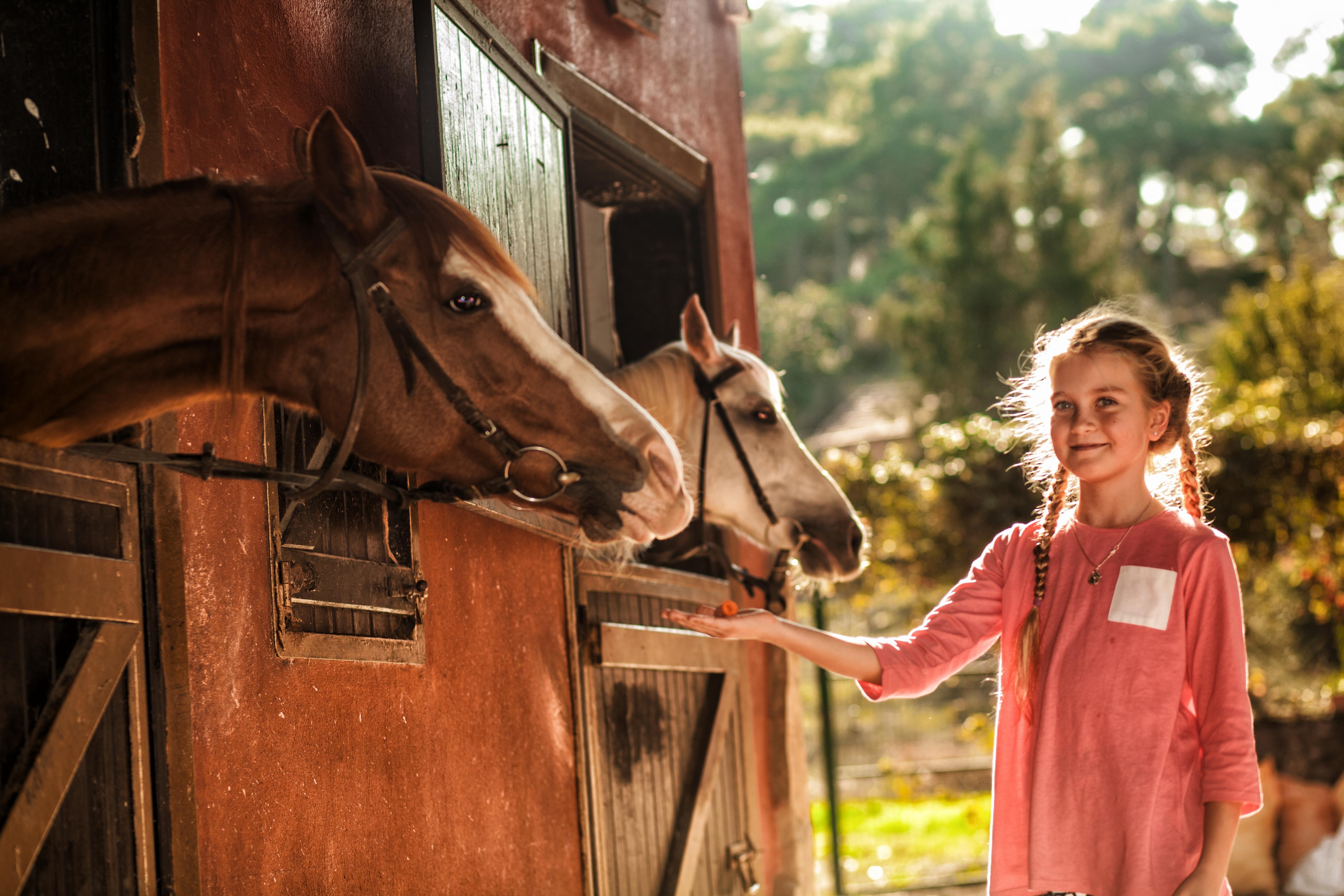 Hotel Berke Ranch&Nature Kemer Esterno foto