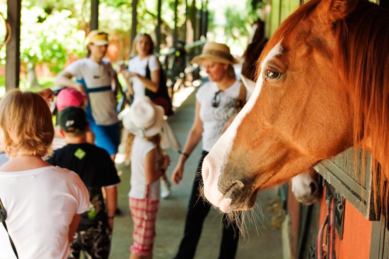 Hotel Berke Ranch&Nature Kemer Esterno foto